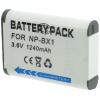 Batterie Appareil Photo pour SONY HDR-GWP88