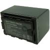 Batterie Camescope 5200 mAh pour PANASONIC AG-CX350