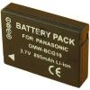 Batterie Appareil Photo pour PANASONIC LUMIX DMC-ZX1